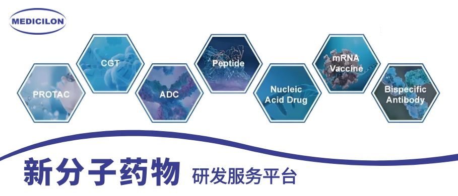 米乐YY易游新分子药物研发服务平台
